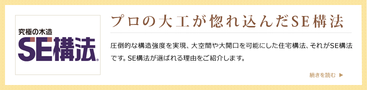 プロの大工が惚れ込んだSE構法 圧倒的な構造強度を実現、大空間や大開口を可能にした住宅構法、それがSE構法です。SE構法が選ばれる理由をご紹介します。